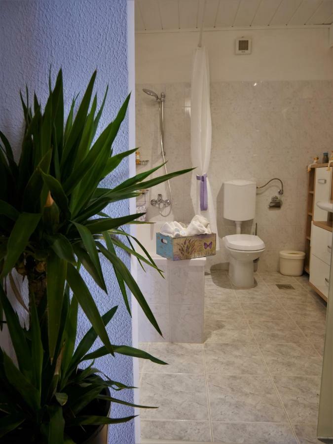 Apartment 3papige Piran
